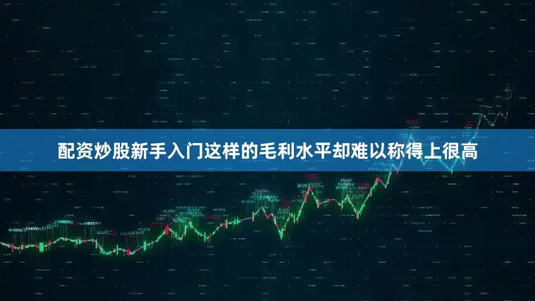 配资炒股新手入门这样的毛利水平却难以称得上很高