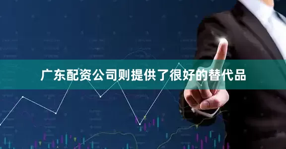 广东配资公司则提供了很好的替代品