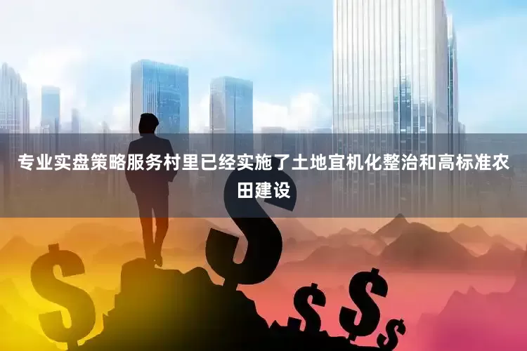 专业实盘策略服务村里已经实施了土地宜机化整治和高标准农田建设